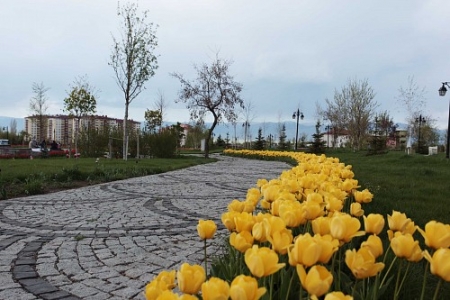 Erzurum'da buraya giden var mı! 2