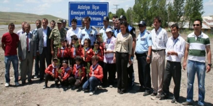 Yediyüz çam ağacı diktiler!