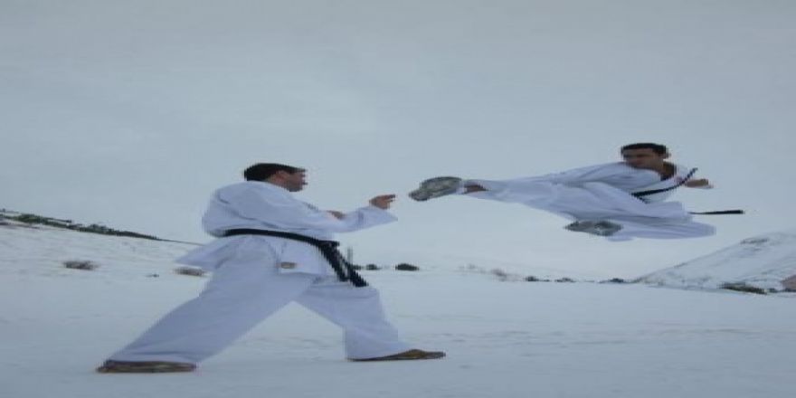 Kar Üstünde Karate