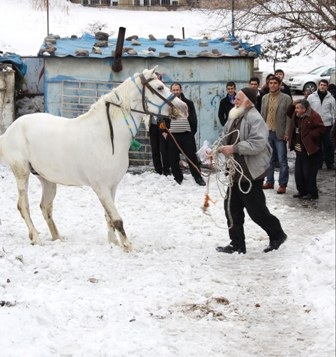 Baki Dede Yeni Atına Kavuştu 1