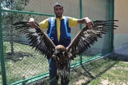 Yaralı Kartallar Erzurum'da 1