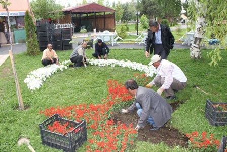 Kadınlar Çiçek Ekiyor! 2