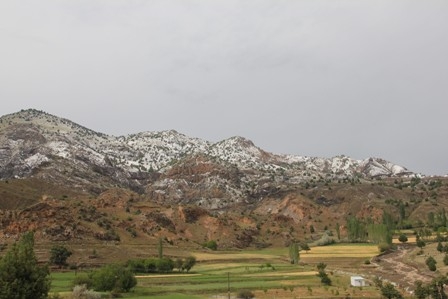 Dolu Erzurum'da Ekili Arazileri Vurdu! 1