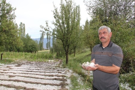 Dolu Erzurum'da Ekili Arazileri Vurdu! 2