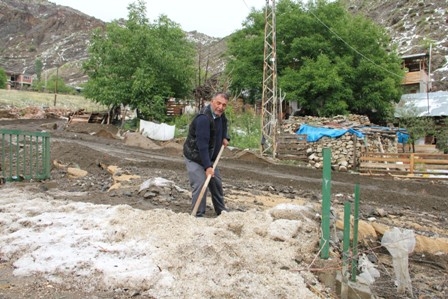 Dolu Erzurum'da Ekili Arazileri Vurdu! 5