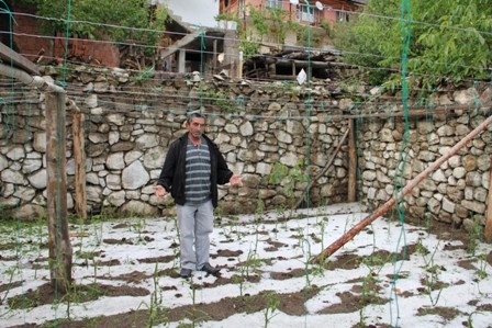 Dolu Erzurum'da Ekili Arazileri Vurdu! 6