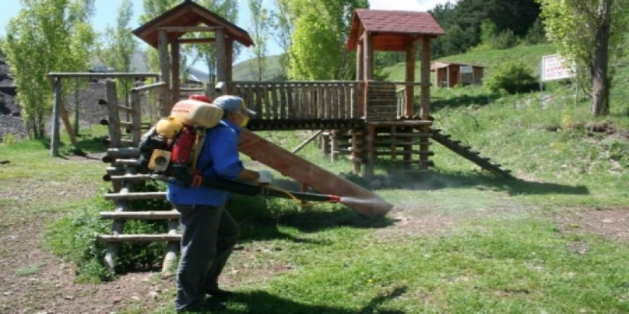 Kent ormanı konuklarını bekliyor!