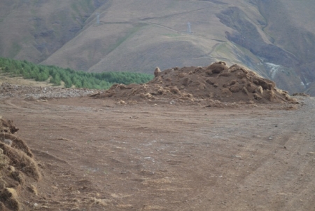 Talanı Erzurum seyrediyor! 11