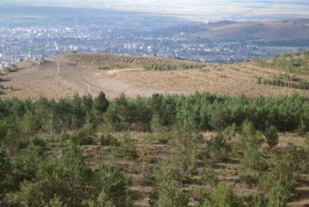 Talanı Erzurum seyrediyor! 13