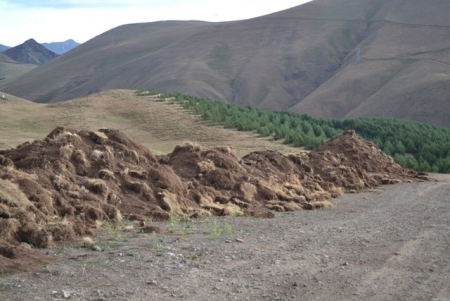 Talanı Erzurum seyrediyor! 15