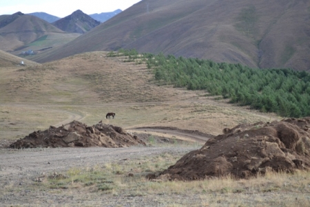 Talanı Erzurum seyrediyor! 16