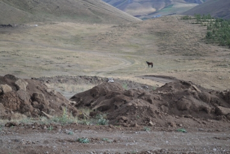 Talanı Erzurum seyrediyor! 17