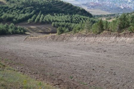 Talanı Erzurum seyrediyor! 21