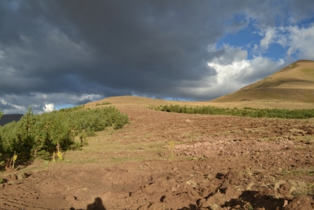 Talanı Erzurum seyrediyor! 29