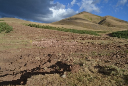 Talanı Erzurum seyrediyor! 31