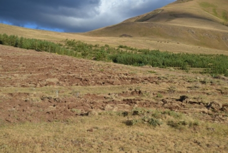 Talanı Erzurum seyrediyor! 8