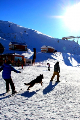 Erzurum'dan kartpostallık görüntüler! 7