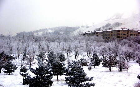 Erzurum'dan kartpostallık görüntüler! 8