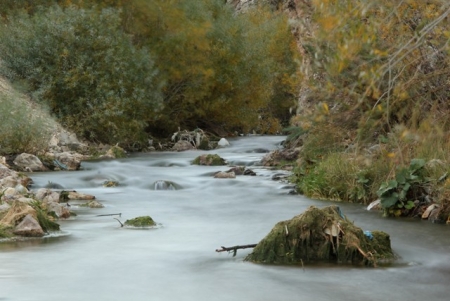 Doğu'da karpostallık sonbahar 8