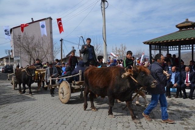 Şenkaya'da kurtuluş coşkusu 3