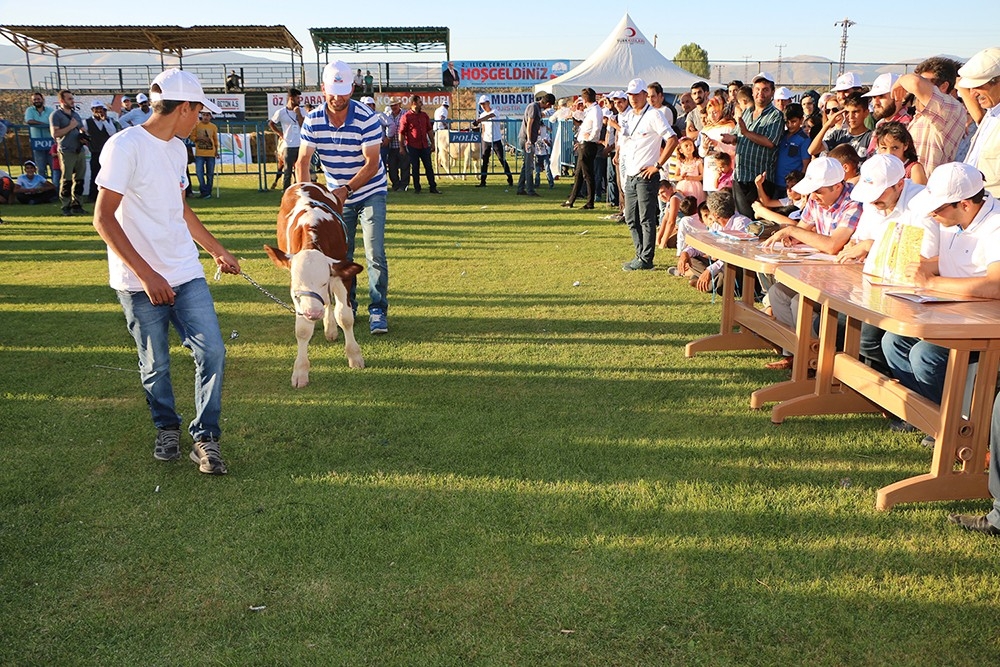 Çermik Festivali dolu dolu devam ediyor 5