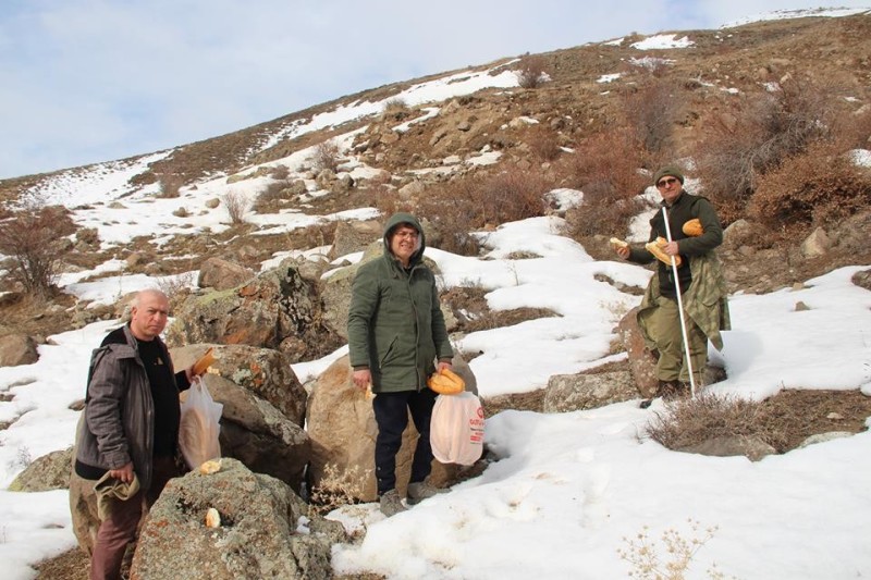 Oltulu fırın sahibinden yaban hayatına destek