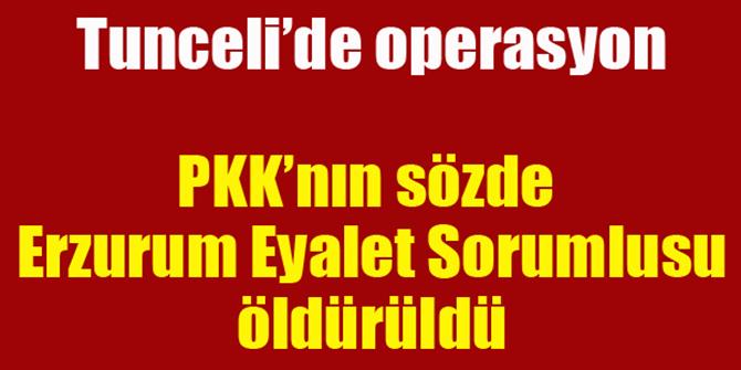 PKK'yü büyük darbe