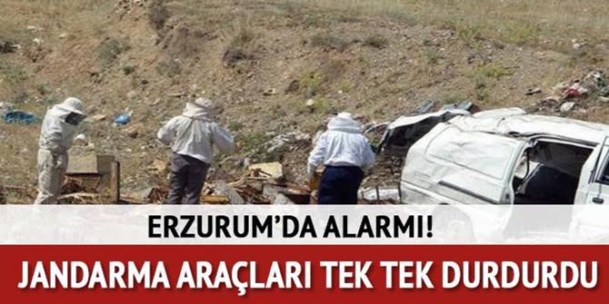 Erzurum'da Kaza Yapan Araçtaki Arılar Korku Saçtı