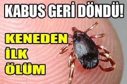 KENE kabusu geri döndü!