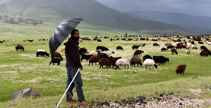 Van, Muş, Bitlis ve Hakkari'de terörsüz yaylalar vatandaşın hizmetinde