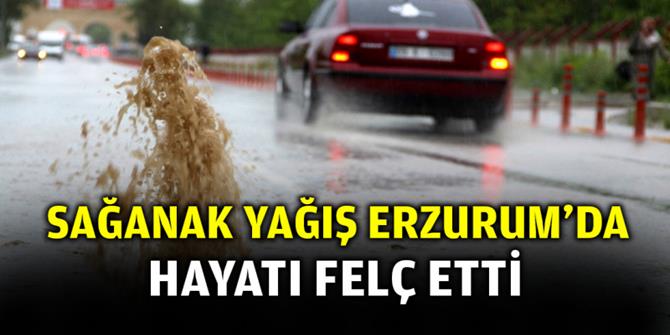 Erzurum'da şiddetli sağanak