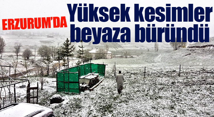 Erzurum'un yüksek kesimleri beyaza büründü