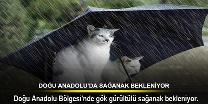 Doğu Anadolu'da sağanak bekleniyor