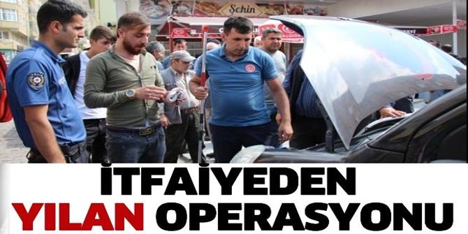 Oltu’da yılan operasyonu