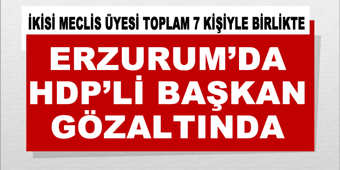 HDP'li Karayazı Belediye Başkanı gözaltına alındı