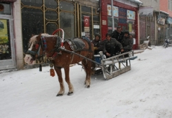 Atlı Kızak Engel Tanımıyor