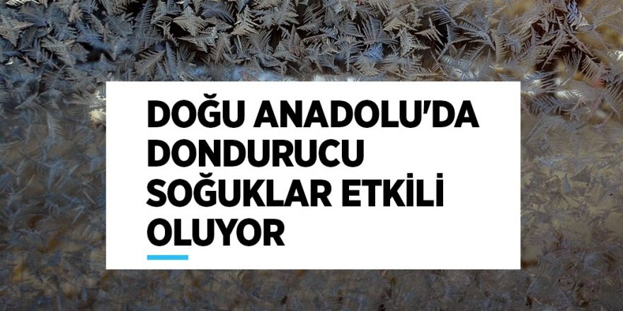 Doğu Anadolu'da dondurucu soğuklar etkili oluyor