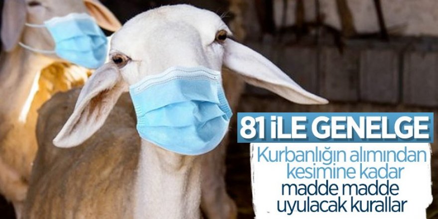 Kurban satış ve kesim yerlerinde alınacak tedbirler açıklandı