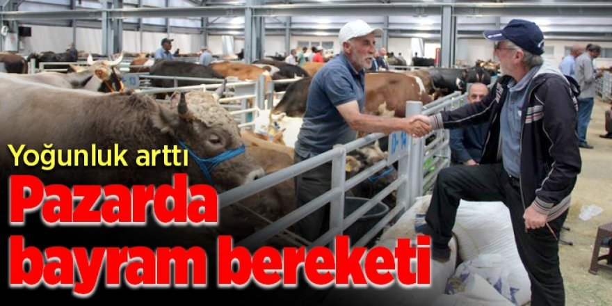 Erzurum Hayvan pazarında kurban bereketi