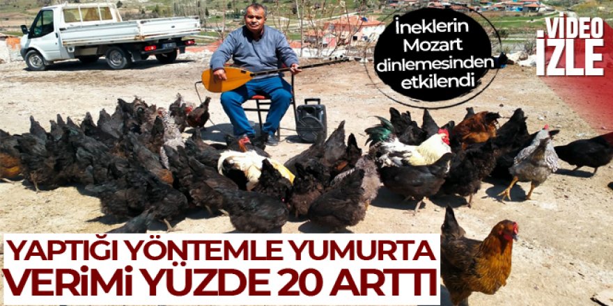 Tavuklarına her gün konser veriyor