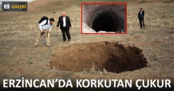 Görenler şaşkına dönüyor!