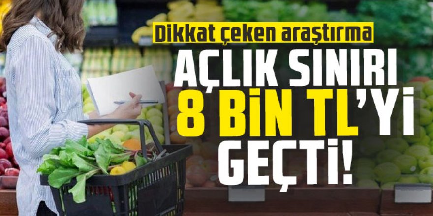 Dikkat çeken araştırma: Açlık sınırı 8 bin TL'yi geçti!