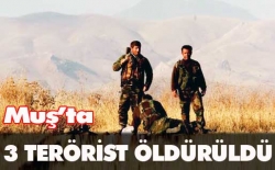 Muş'ta 3 PKK’lı öldürüldü!