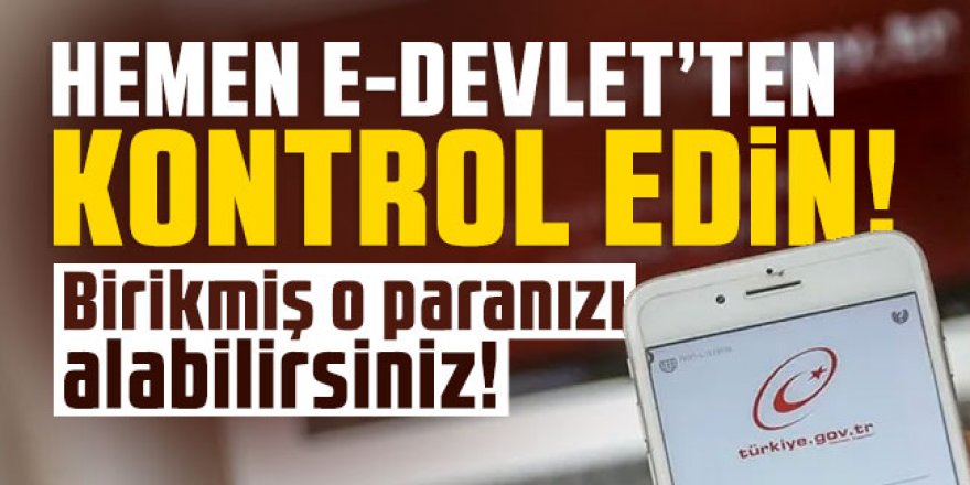 Hemen e-Devlet'ten kontrol edin! O parayı alabilirsiniz