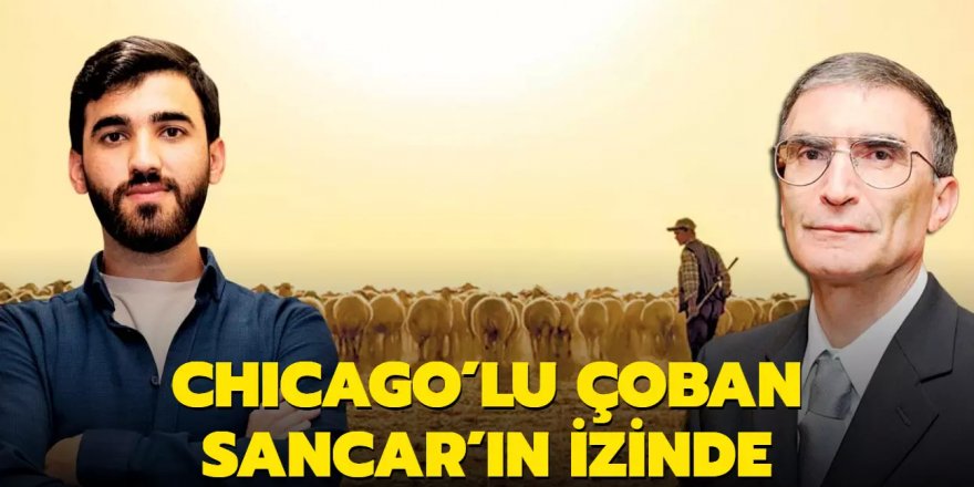 Chicago'lu çoban Sancar'ın izinde