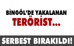 Terörist serbest bırakıldı!