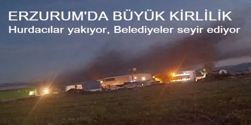 Erzurum'un havasını kirletiyorlar: Belediyeler seyir ediyor