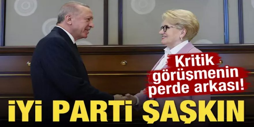 Erdoğan, Meral Akşener görüşmesinin perde arkası!