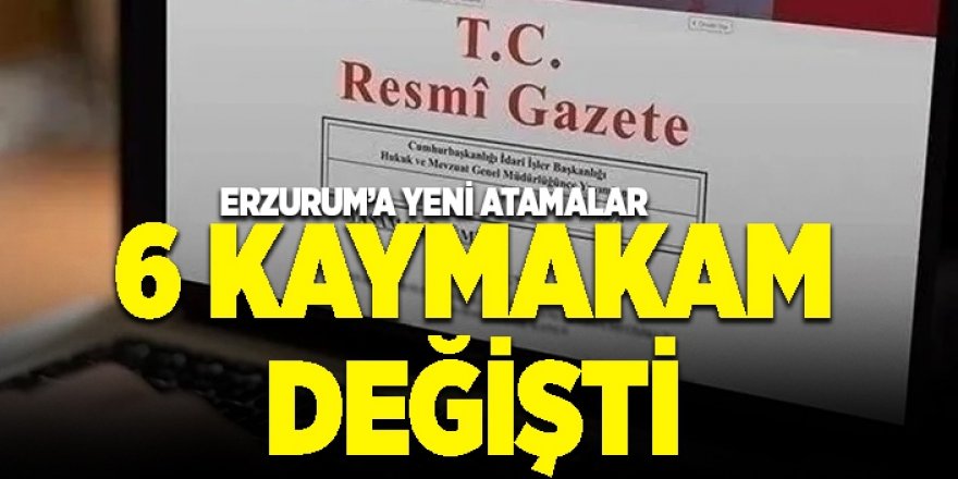 Mülki İdare Amirleri Atama Kararnamesi Resmi Gazete'de: Erzurum'da 6 kaymakam değişti