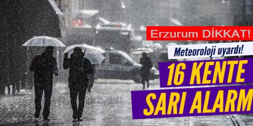 Meteoroloji'den Erzurum ve 15 ile sarı uyarı: Kuvvetli sağanak ve fırtına geliyor